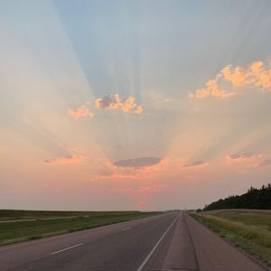 Meet your Posher, Ann